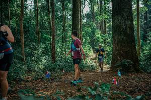 BIB: 
                            <button type="button" onclick="openModal(26132694)" class="btn btn-primary btn-sm float-right btn-popup" data-toggle="modal" data-target=".modal-high-quality">
                        <i class="fas fa-shopping-cart"></i> Add to Cart
                    </button>
                                            <button type="button" onclick="isThisMe(26132694, true)" class="btn btn-success btn-sm float-right btn-popup btn-isme hidden" data-toggle="tooltip" data-placement="bottom" title="นี่คือรูปของคุณใช่ไหม คลิกที่นี่เพื่อเอาเข้าอัลบั้ม">
                        <i class="fas fa-plus"></i> Add to album
                    </button>
                    <button type="button" onclick="isThisMe(26132694, false)" class="btn btn-warning btn-sm float-right btn-popup btn-isnotme hidden">
                        <i class="fas fa-ban"></i> Remove from album
                    </button>